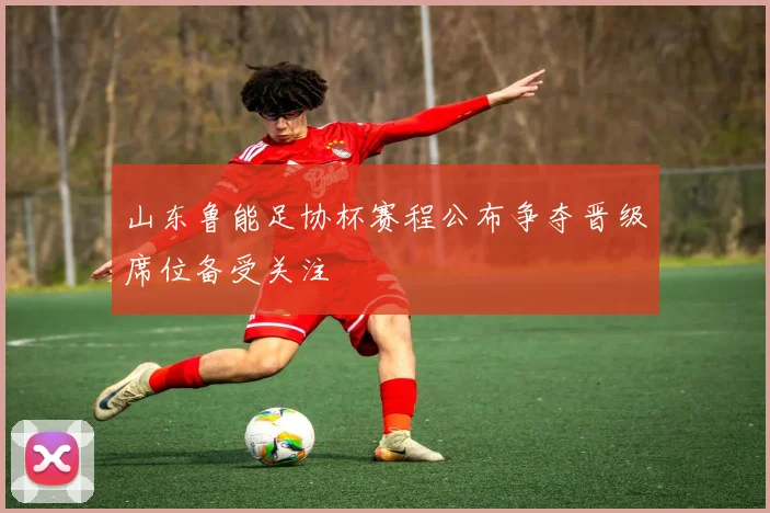 山东鲁能足协杯赛程公布争夺晋级席位备受关注