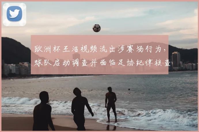 欧洲杯王洁视频流出涉赛场行为，球队启动调查并面临足协纪律核查
