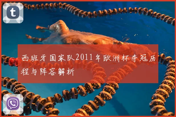 西班牙国家队2011年欧洲杯夺冠历程与阵容解析