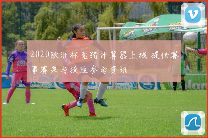 2020欧洲杯竞猜计算器上线 提供赛事赛果与投注参考资讯